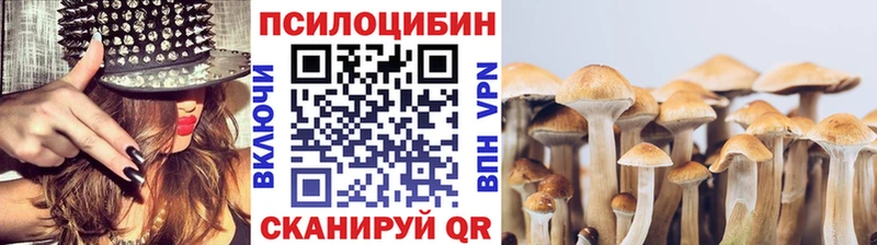 дарк нет наркотические препараты  Удомля  Псилоцибиновые грибы Psilocybine cubensis 